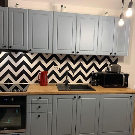 Best Apartment Scheia Suczawa Zewnętrze zdjęcie